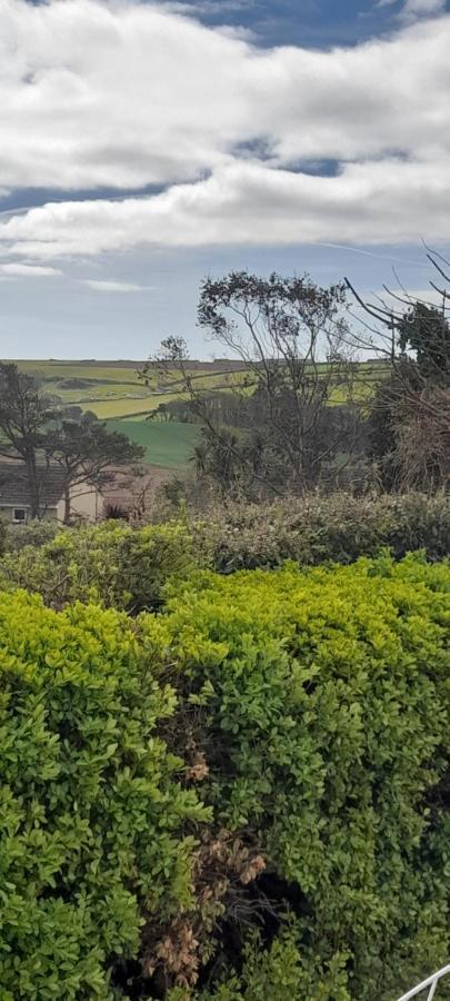 Little Orchard House Bed and Breakfast Salcombe Εξωτερικό φωτογραφία